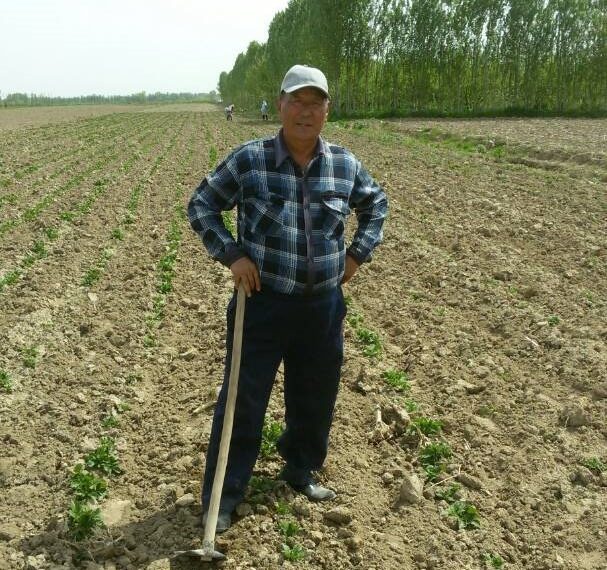 Ийгилик сыры. Магамед аксакал жылына 50 тонна помидор