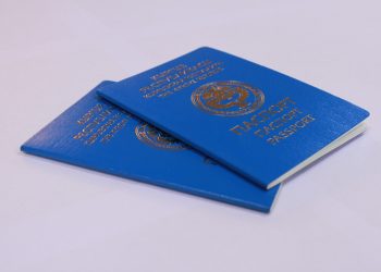 Чет өлкөгө чыгаарда эмнелерди билишим керек? Адис жооп берет