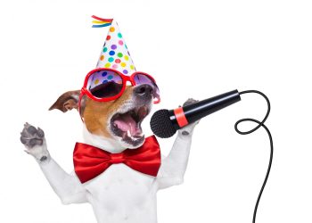 Beeline Karaoke: Эми сүйүктүү ырларыңызды каалаган учурда ырдасаңыз болот