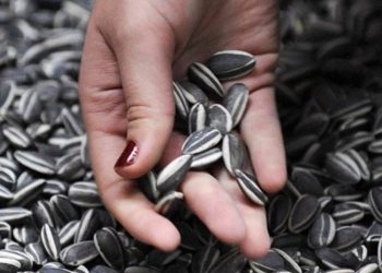 Боюнда бар аял семичке чакса болобу? Гинеколог жооп берет