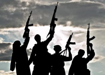 “700гө жакын улан-кыздарыбыз Сирияда жүрөт”