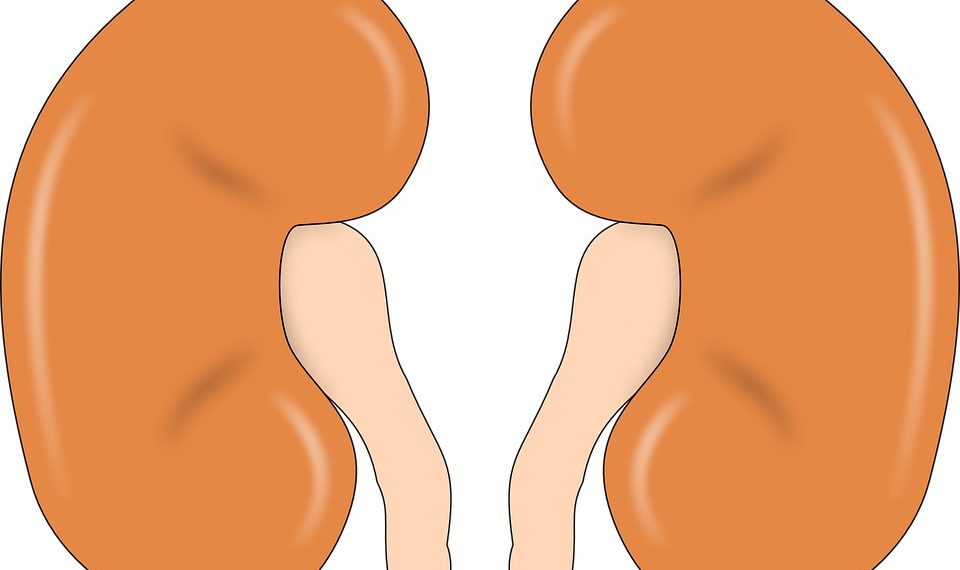 Бөйрөктөгү тузду кантип кетирем?