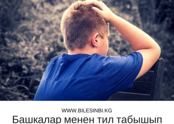 Башкалар менен тил табышып сүйлөшүү оор