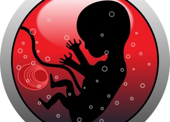 Түйүлдүктүн өрчүбөй калуу себептери