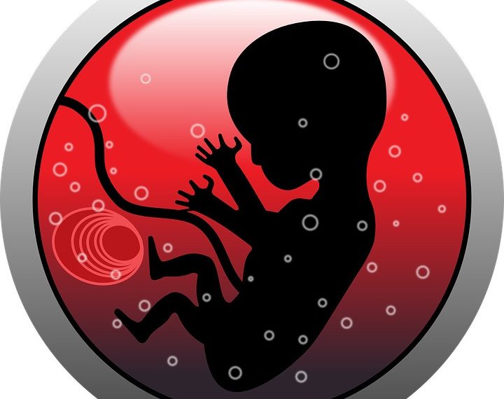 Түйүлдүктүн өрчүбөй калуу себептери