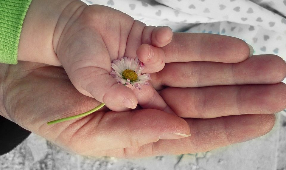 Варикозум бар