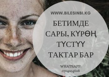 Бетимдеги тактар көбөйүп кетти