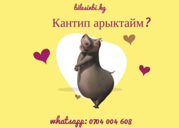 Ашыкча салмактын азабын тартканыма 7 жыл болду