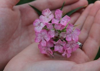 Сөөл жугуштуубу?