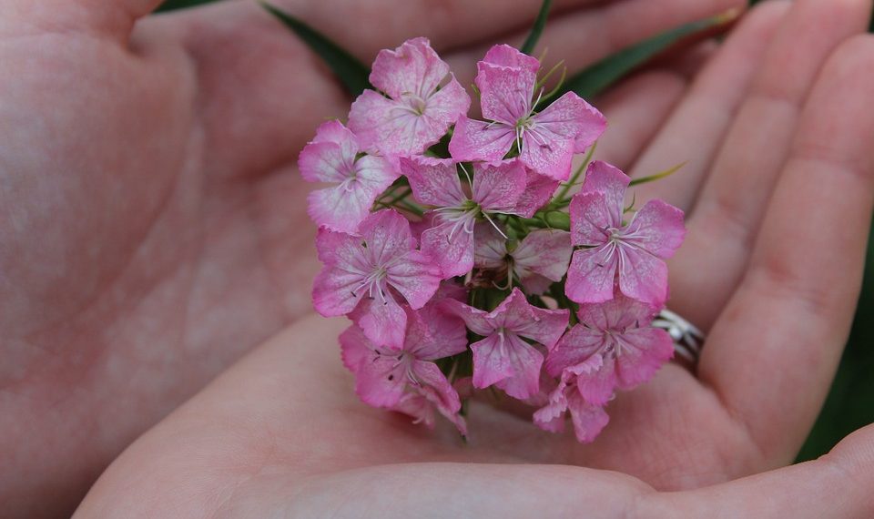 Сөөл жугуштуубу?