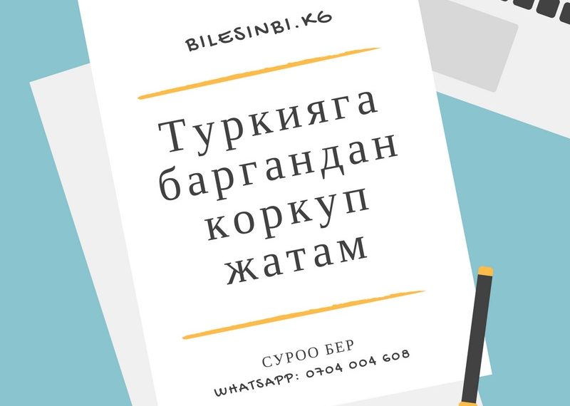 Түркияга жумушка барсамбы же жокпу?