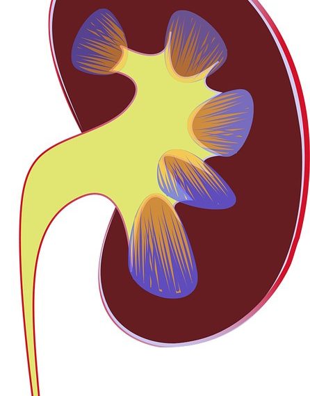 Бөйрөгүм ооруйт. Апама айта албайм.