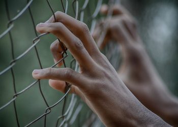 Түрмөдө олтурган адам ажырашууга арыз жаза алабы?