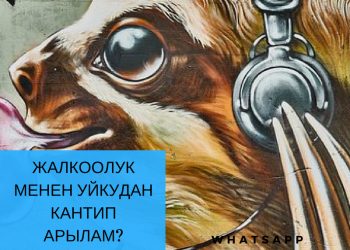 Жалкоо жана уйкучумун