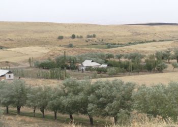 Суу чыкпаган жер тилкесин менчиктештирип алса болобу?