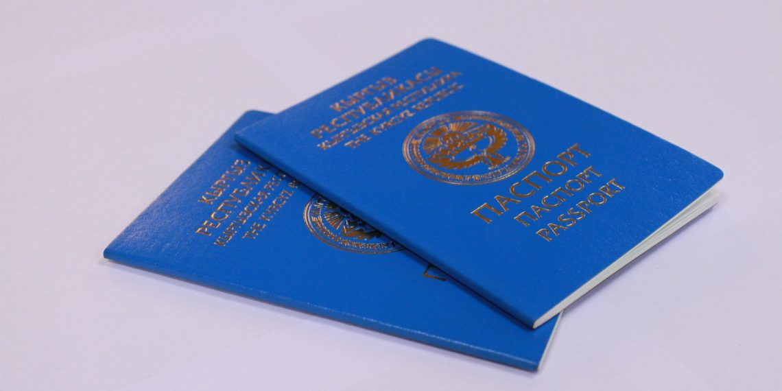 Башка өлкөнүн жарандыгын алсам Кыргызстандын жарандыгынан чыгып каламбы?