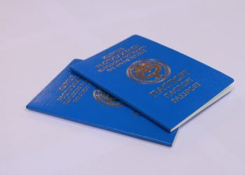 Башка өлкөнүн жарандыгын алсам Кыргызстандын жарандыгынан чыгып каламбы?