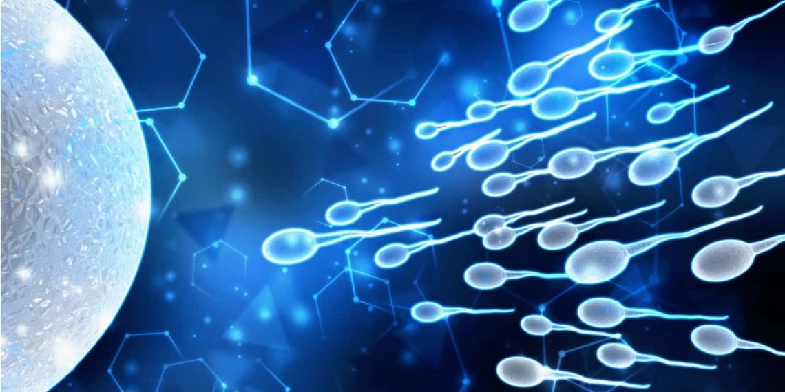 Сперманын сапатын жогорулатуу мүмкүнбү? Уролог жооп берет