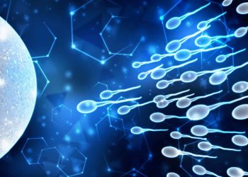 Сперманын сапатын жогорулатуу мүмкүнбү? Уролог жооп берет