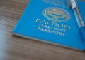 Загран паспорт алыш үчүн үйдүн документи керекпи? Эксперт жооп берет
