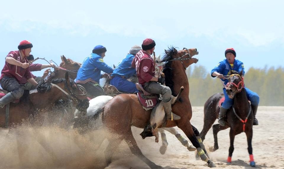 Ата-энем көк бөрү ойногонума каршы. Кантип түшүндүрөм?