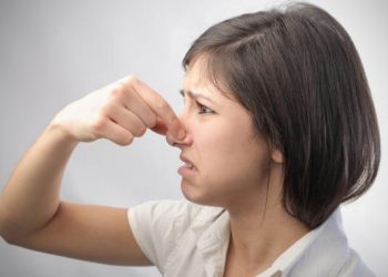 Колоңсо менен шыбоодон арылабыз