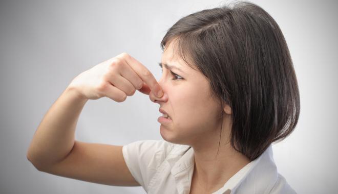 Колоңсо менен шыбоодон арылабыз