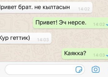 Ватсаптан катасыз жазасызбы? Тесттен өтүңүз