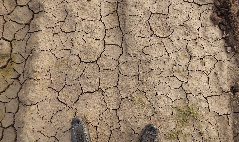 Дыйканга кеңеш: топурак иштетүүдөгү негизги каталар