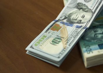 Акчаны кайсы валютада сактоо керек? Адис айтып берет