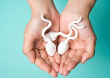 Балалуу болуу үчүн канча сперма керек? Уролог айтып берет