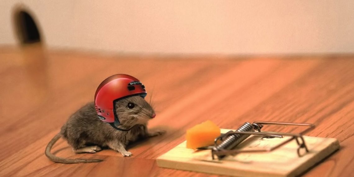 ЖОЖ менен келишим: жети өлчөп бир кес