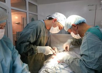 Ким хирург болууга татыктуу? Дарыгер болгусу келген жаштарга адистен кеңеш