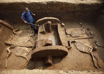 Кесип ээси: Археологдун жумушу детективге окшош