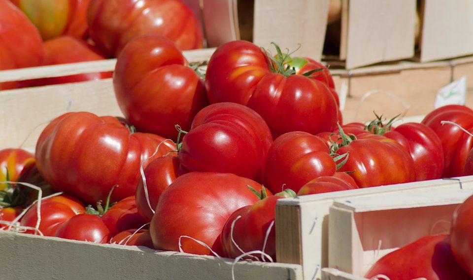 Помидордун кыргызчасын билесизби? Тесттен өтүңүз