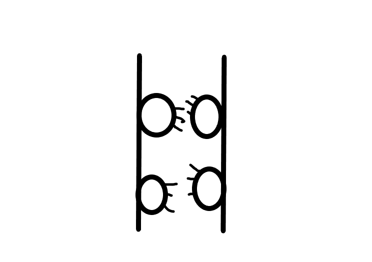 Сүрөттө эмне тартылган? Кыйындар үчүн тесттен өтүңүз
