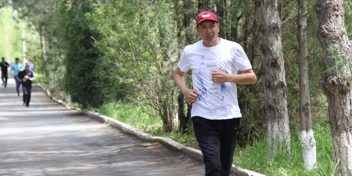 ТОП-5: Күлүктөр үчүн пайдалуу тиркемелер