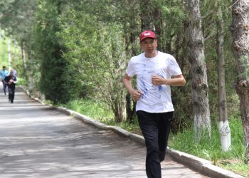 ТОП-5: Күлүктөр үчүн пайдалуу тиркемелер