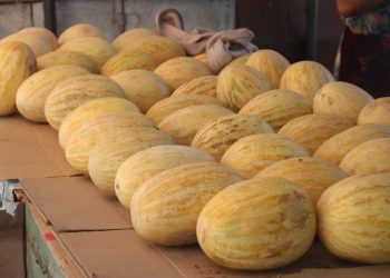 Коон тандаган колуман келет десеңиз