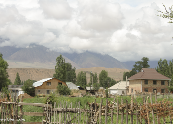 Кошунабыз жерибизди сатып жибериптир. Юристтен жооп