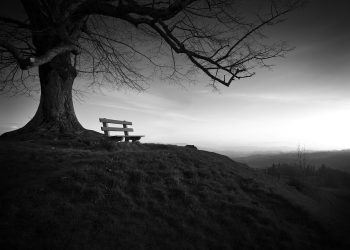 Баламды өзүм аракеч кылдым