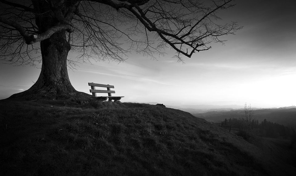 Баламды өзүм аракеч кылдым