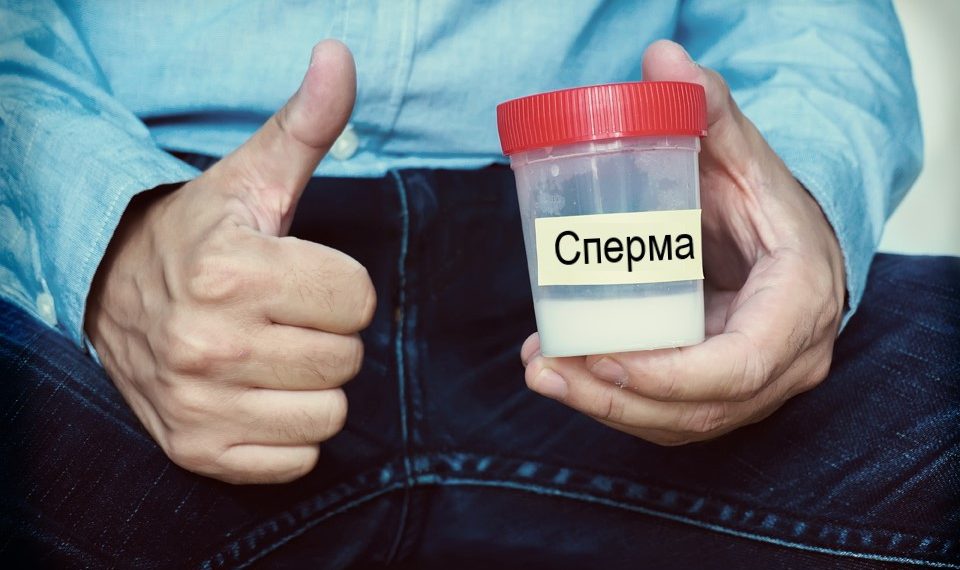 Кантип сперма донору болот жана канча сом төлөнөт? Репродуктолог айтып берет