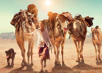 Cаякатка чыгууга шыктандыруучу 5 тасма