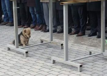 Тайкемдин жаназасында аялы менен уулдары эмес