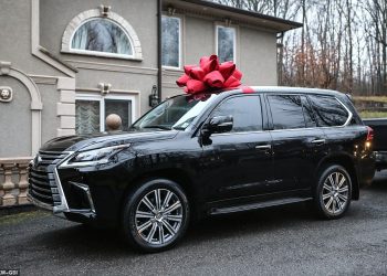 Тико эмес Лексус алам десем