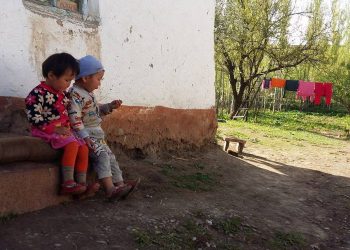 Иштетилбеген таштак айдоо жерибиз бар. Балдарыма жөлөкпул алаламбы?