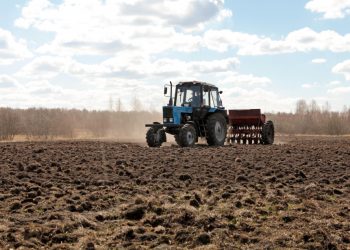 Жеримди башка бирөө колдонуп жүрүптүр. Аны сотко берсем болобу?