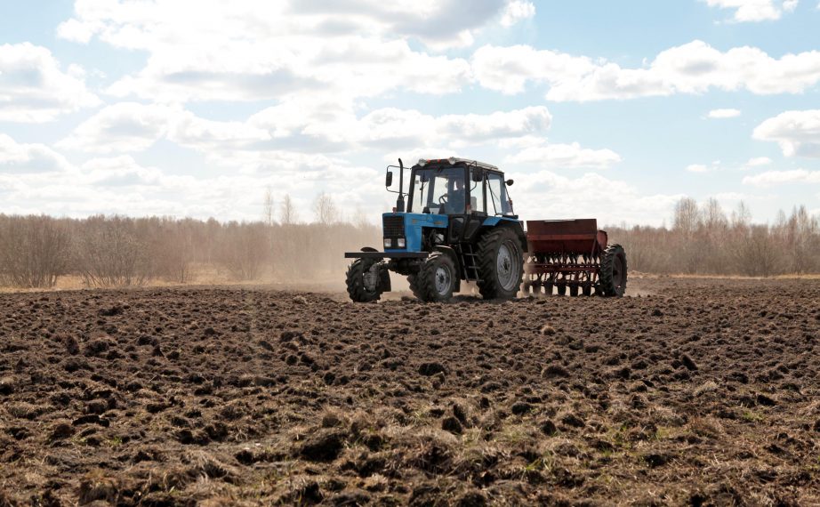 Жеримди башка бирөө колдонуп жүрүптүр. Аны сотко берсем болобу?