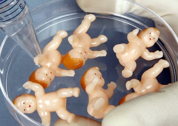 ЭКО деген эмне? Кимдерге жасалат? Баасы канча турат? 10 суроого жооп